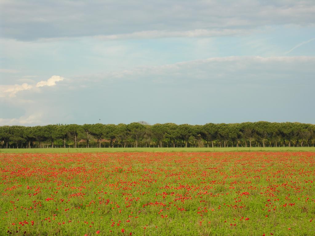 Appartamenti Villaggio San Siro Бибионе Экстерьер фото